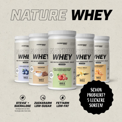 СИРОВАТКОВИЙ ПРОТЕЇН ENERGYBODY NATURE WHEY PROTEIN 600 Г ПОЛУНИЧНИЙ ЧІЗКЕЙК СИРОВАТКОВИЙ ПРОТЕЇН ENERGYBODY NATURE WHEY PROTEIN 600 Г ПОЛУНИЧНИЙ ЧІЗКЕЙК