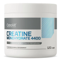 Креатин OSTROVIT Creatine Monohydrate 4400 120 капсул